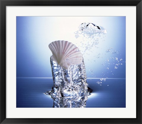 Framed White scallop shell being raised on pillar of bubbling water Print