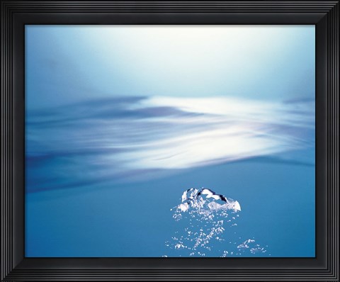 Framed Water bubbles rising to surface of water toward bright light Print