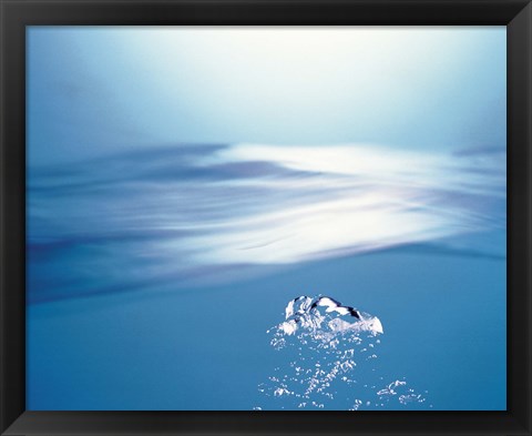 Framed Water bubbles rising to surface of water toward bright light Print