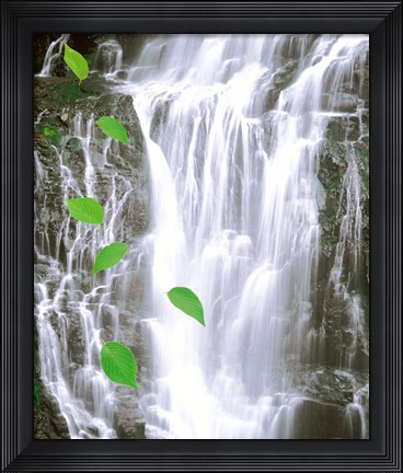 Framed Green leaves cascading in front of waterfall Print