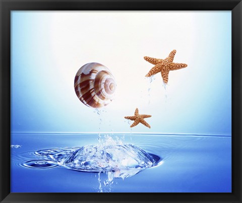 Framed shell and two starfish floating above bubbling water Print