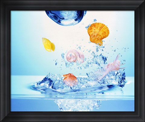 Framed Multicolored seashells and water bubbles in churning water Print