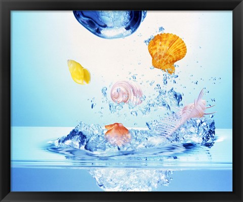 Framed Multicolored seashells and water bubbles in churning water Print