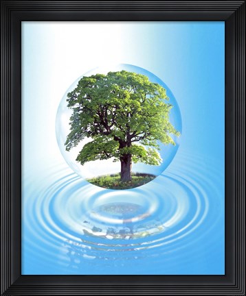 Framed clear sphere with a full tree floats over a large water ring with reflection Print
