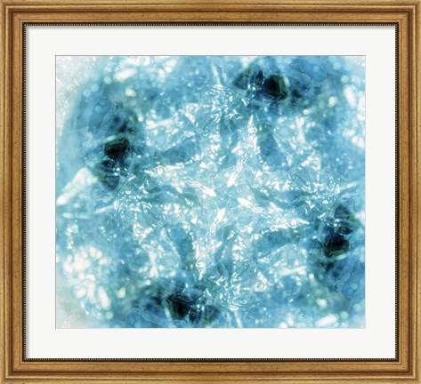 Framed Kaleidoscopic pattern in aqua and white Print