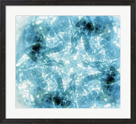 Framed Kaleidoscopic pattern in aqua and white Print