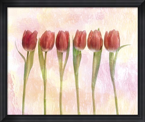 Framed Six pink tulips with green stems and leaves upright in front of pink plaster wall Print
