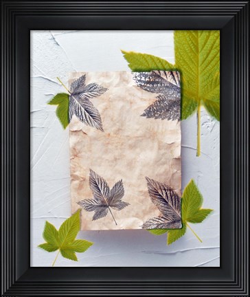 Framed Green and grey leaves superimposed on pink plaster rectangle on white plaster wall Print
