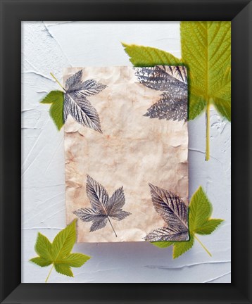 Framed Green and grey leaves superimposed on pink plaster rectangle on white plaster wall Print