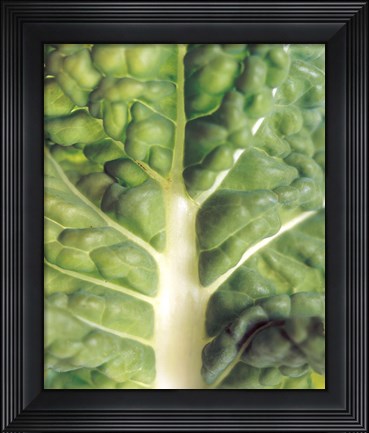 Framed Close up of bumpy vegetable leaf with white stalk Print