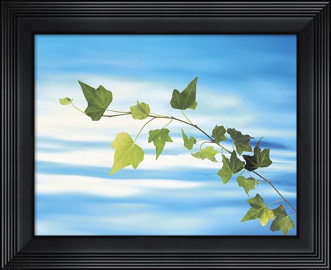 Framed Green vine floating in blue water Print