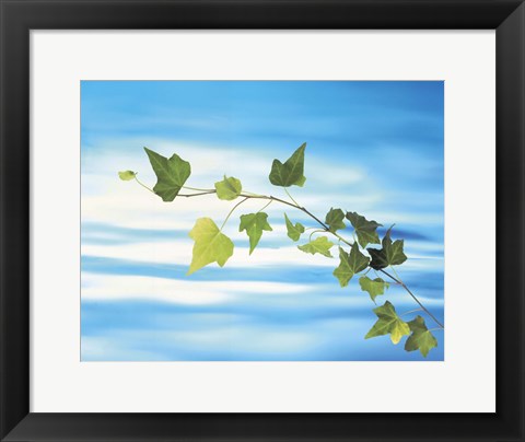 Framed Green vine floating in blue water Print