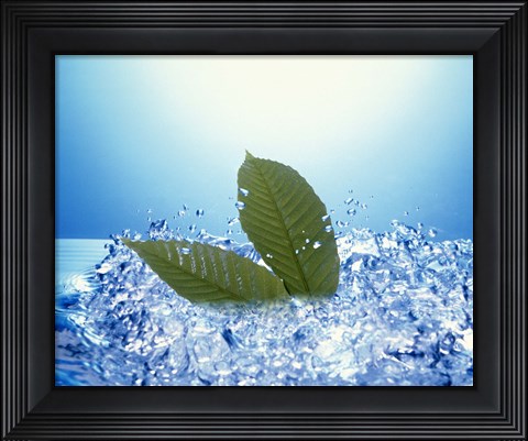Framed Two green leaves in bubbling water Print