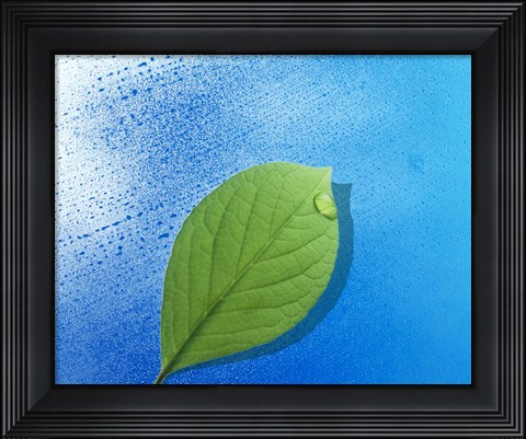 Framed Green leaf floating above streaked water drops Print