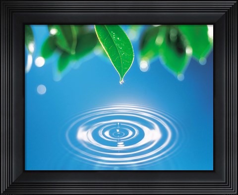 Framed Green leaves dripping water into perfect circles below Print