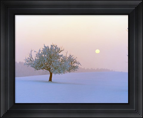 Framed Foggy winter scene with tree and moon Print