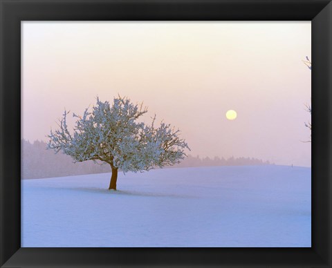 Framed Foggy winter scene with tree and moon Print