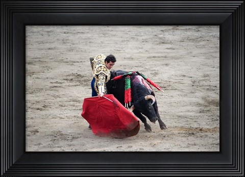 Framed Matador and Bull Print
