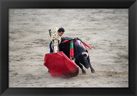 Framed Matador and Bull Print
