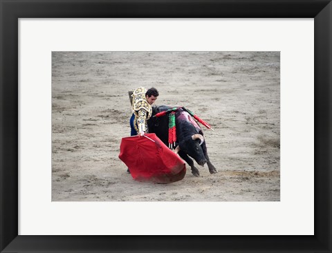 Framed Matador and Bull Print