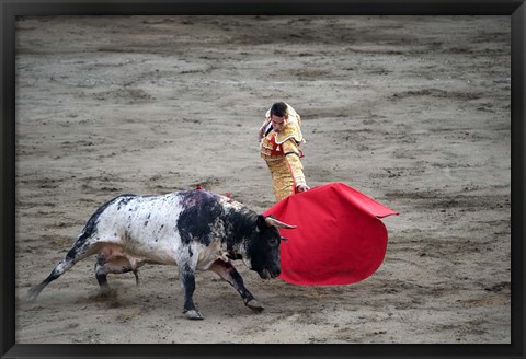 Framed Matador and a bull in a bullring, Lima, Peru Print
