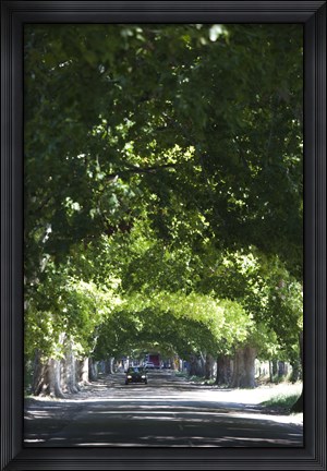 Framed Car on a country road, Lujan De Cuyo, Mendoza Province, Argentina Print