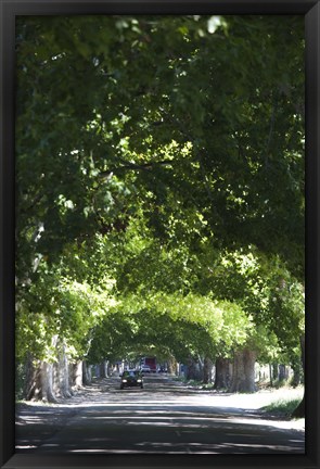 Framed Car on a country road, Lujan De Cuyo, Mendoza Province, Argentina Print