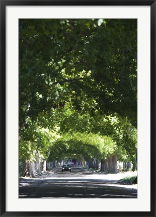 Framed Car on a country road, Lujan De Cuyo, Mendoza Province, Argentina Print