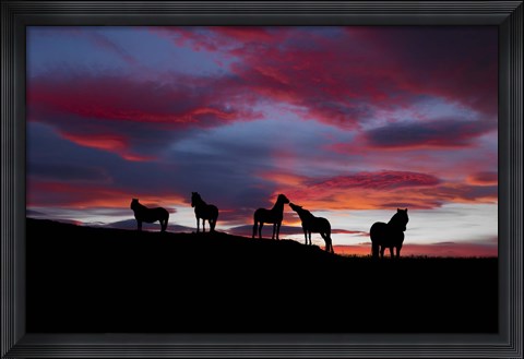 Framed Silhouette of horses at night, Iceland Print
