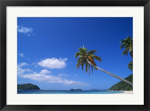 Framed Tropical beach with coconut palms, Cocos nucifera Print
