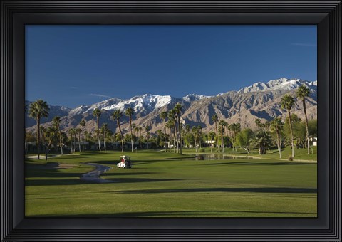 Framed Palm trees in a golf course, Desert Princess Country Club, Palm Springs, Riverside County, California, USA Print
