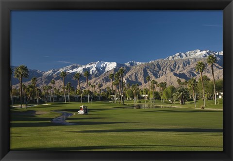 Framed Palm trees in a golf course, Desert Princess Country Club, Palm Springs, Riverside County, California, USA Print