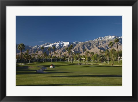 Framed Palm trees in a golf course, Desert Princess Country Club, Palm Springs, Riverside County, California, USA Print