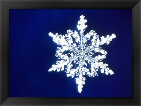 Framed Snowflake 1 Print