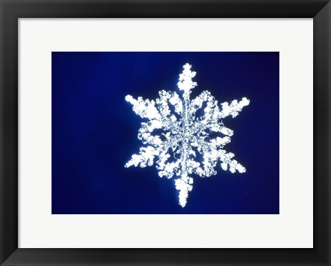 Framed Snowflake 1 Print