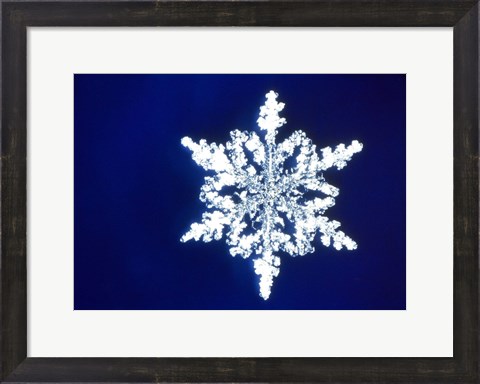 Framed Snowflake 1 Print