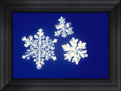 Framed Snowflakes Print