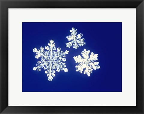 Framed Snowflakes Print