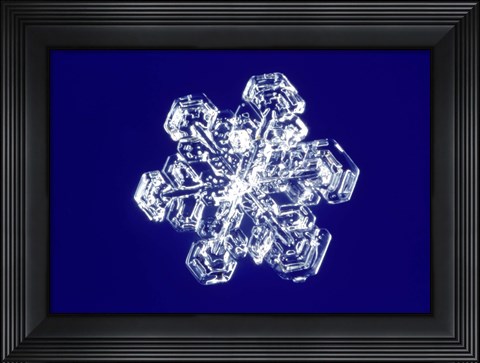 Framed Snowflake 2 Print