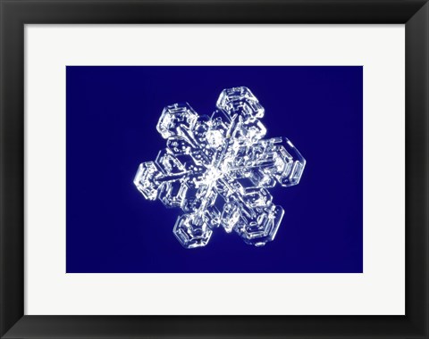 Framed Snowflake 2 Print