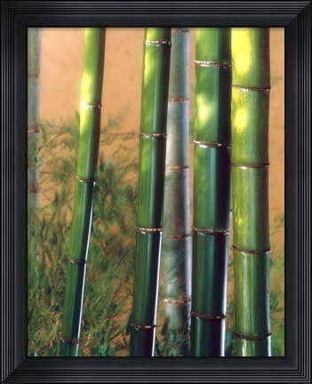 Framed Bamboo Sticks Print