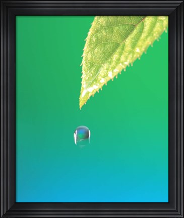 Framed Droplet Falling From Green Leaf with Green and Teal Colored Background Print