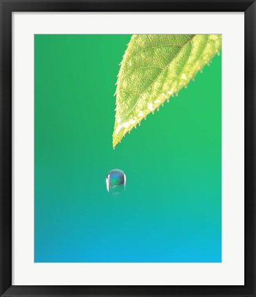 Framed Droplet Falling From Green Leaf with Green and Teal Colored Background Print