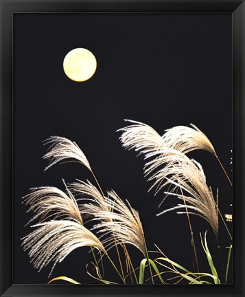 Framed Close Up View of Foxtail Grass with Full Moon in Background Print