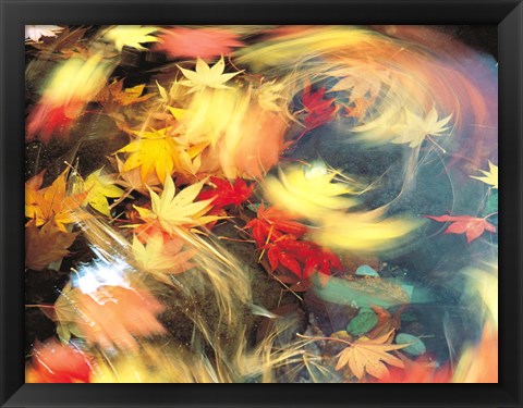 Framed Maple Leaves, Blurred Motion Print