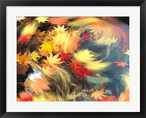 Framed Maple Leaves, Blurred Motion Print