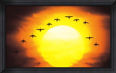 Framed Silhouetted Birds in Sunset Print