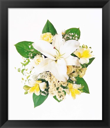 Framed Arranged Flowers and Leaves on White Background Print