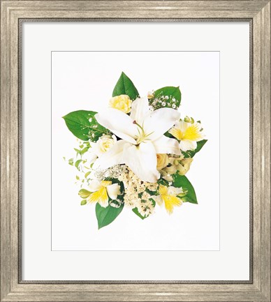 Framed Arranged Flowers and Leaves on White Background Print