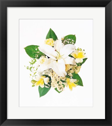 Framed Arranged Flowers and Leaves on White Background Print